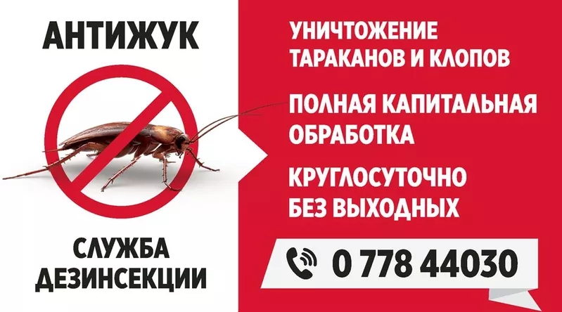 Как избавиться от клопов,  истребление тараканов в Приднестровье,  блохи
