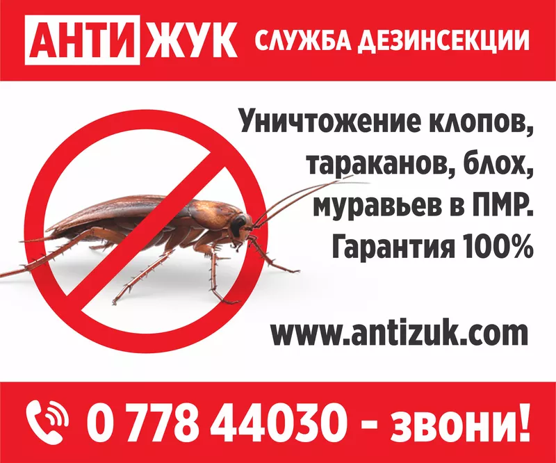Дезинсекция от постельных клопов в Тирасполе,  дезинфекция в ПМР 3